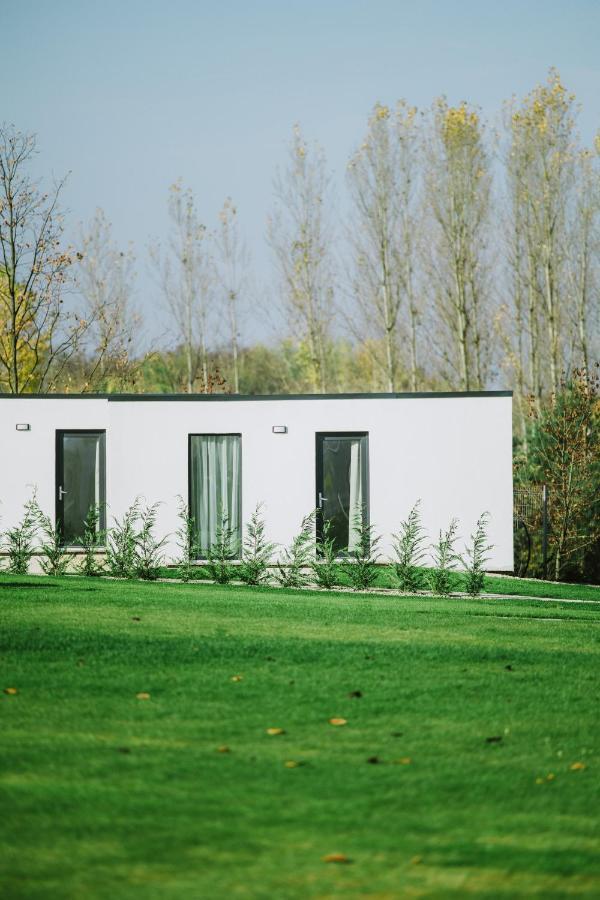 Termal Kre-Spa Sinnicolau de Munte Luaran gambar